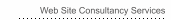 Web Site Consultancy Services