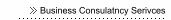 Business Consulatncy Serivces