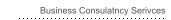 Business Consulatncy Serivces